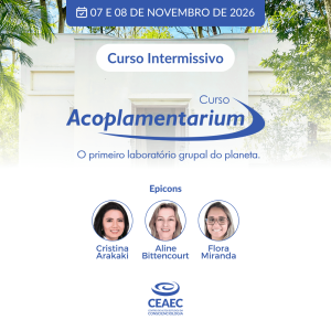 Curso intermissivo